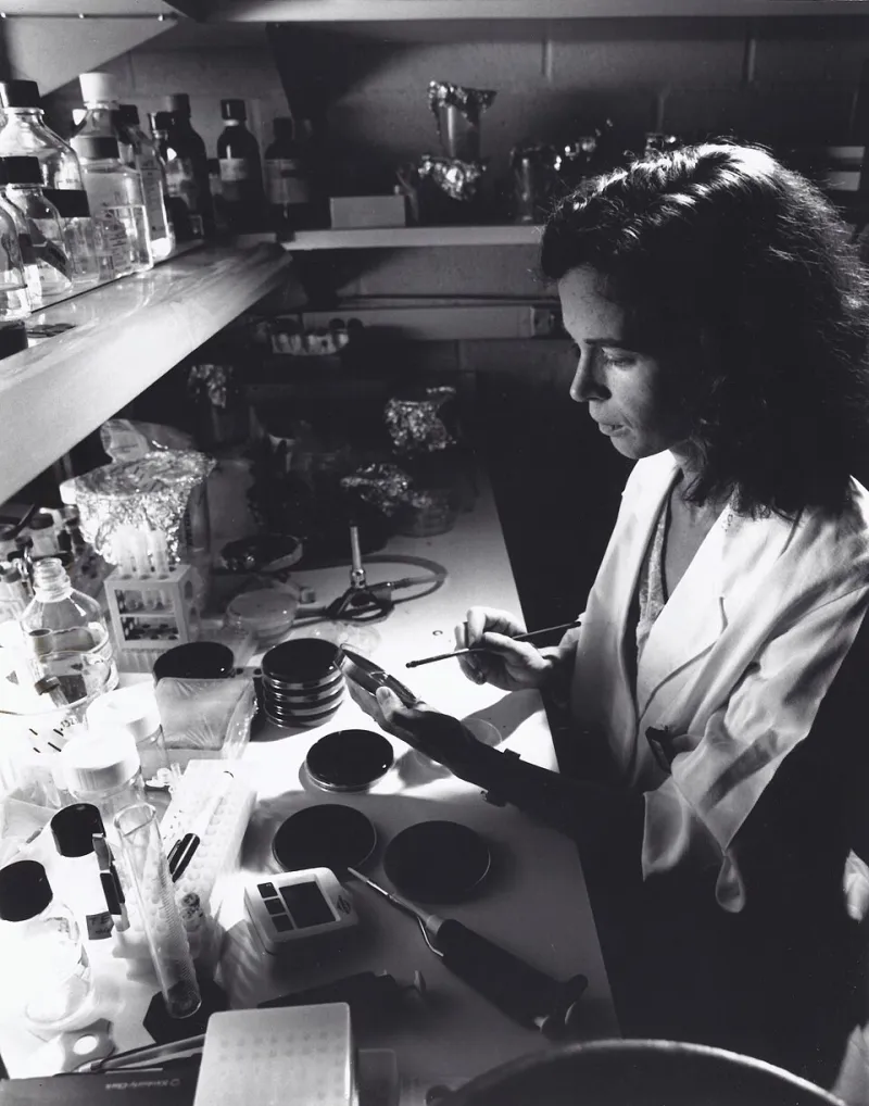 Breaking Down the Bowl: One Chemist's Quest to Decode Ramen at the Molecular Level